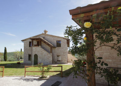 La Collina degli Olivi